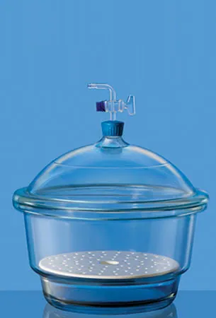 Borosil 3083 Vacuum Desiccator Set – Borosil