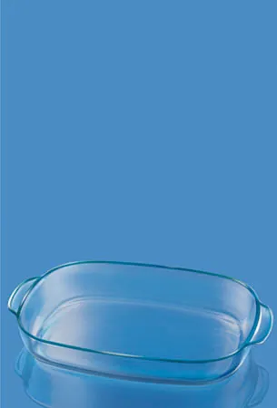 Borosil 3170 Drying Trays – Borosil