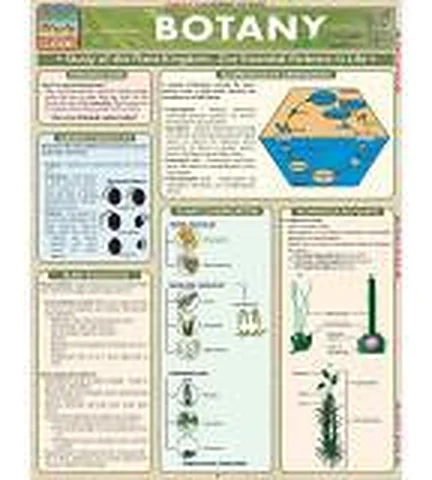 Chart, Botany – Polylab
