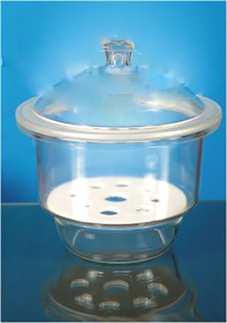 Dessicator with Lid, Plain – Polylab