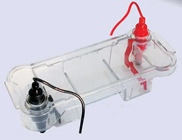 Electrophoresis Horizontal - Mini – Polylab