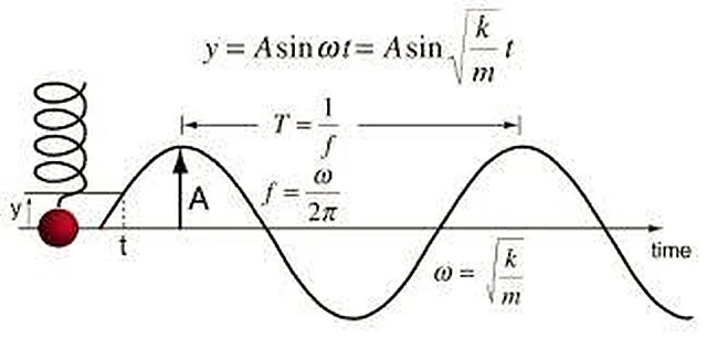 Harmonic Motion – Polylab