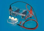 Midi Submarine Electrophoresis Unit – Polylab