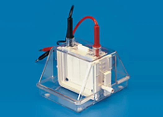 Mini Dual Vertical Eelectrophoresis Unit – Polylab