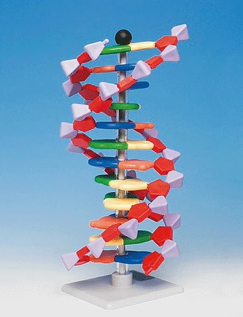Molecular Layer Kit – Polylab