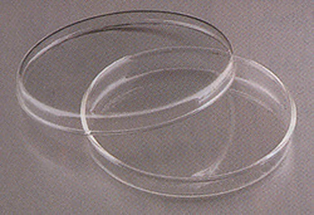 Petri Dish (Disposable) – Polylab