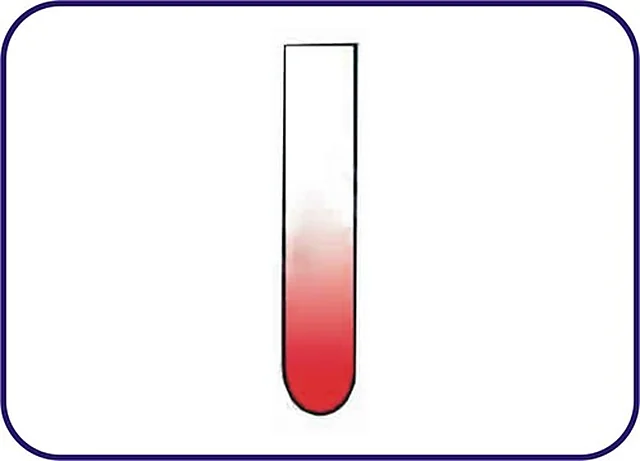 Test Tube With/Without RIM Borosilicate Glass Machine Made – Polylab